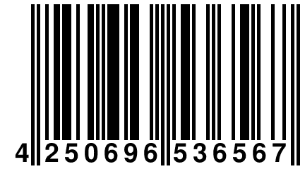 4 250696 536567