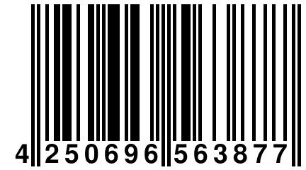 4 250696 563877