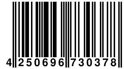 4 250696 730378