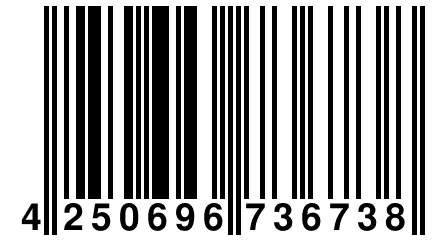 4 250696 736738