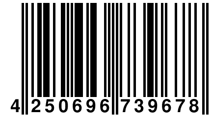 4 250696 739678