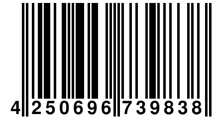 4 250696 739838