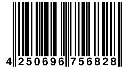 4 250696 756828