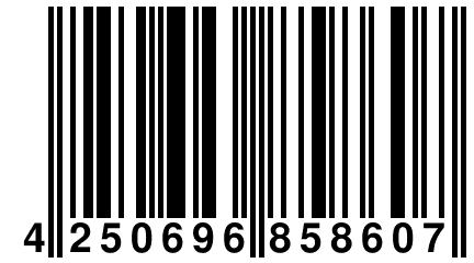 4 250696 858607