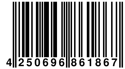 4 250696 861867