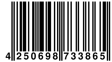 4 250698 733865