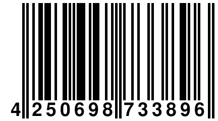 4 250698 733896