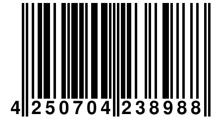 4 250704 238988