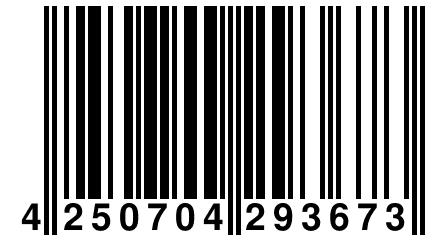 4 250704 293673