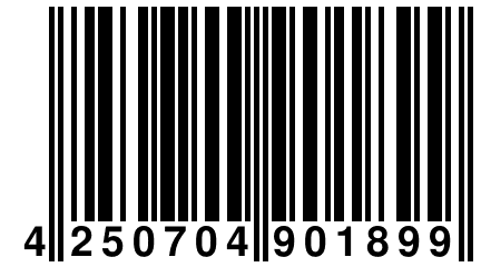 4 250704 901899