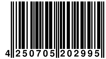 4 250705 202995