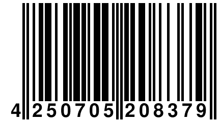4 250705 208379