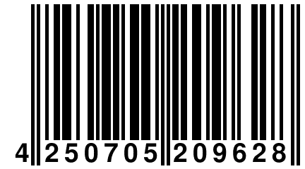 4 250705 209628