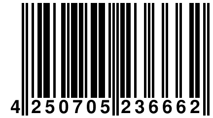 4 250705 236662