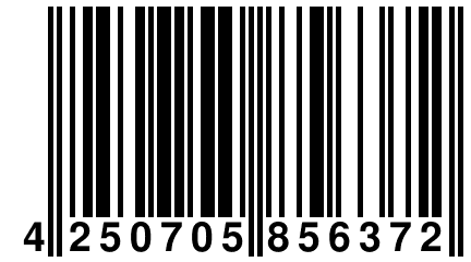 4 250705 856372