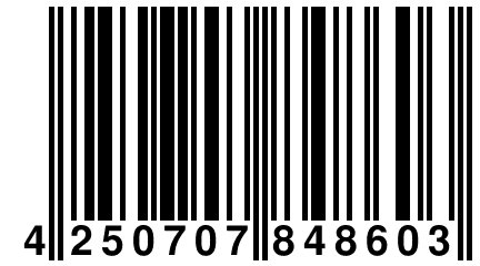 4 250707 848603