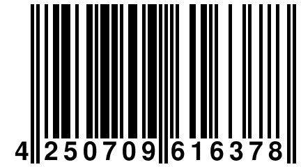 4 250709 616378