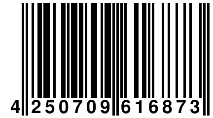 4 250709 616873