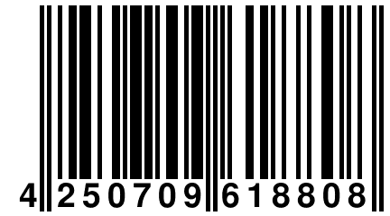 4 250709 618808