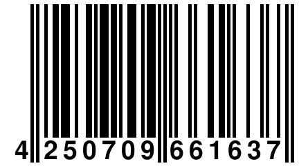 4 250709 661637