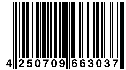 4 250709 663037