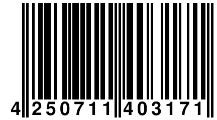 4 250711 403171