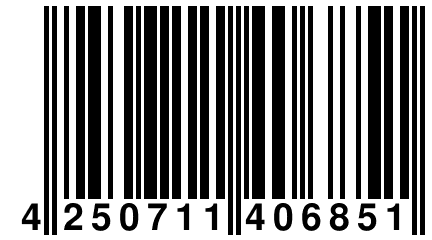 4 250711 406851