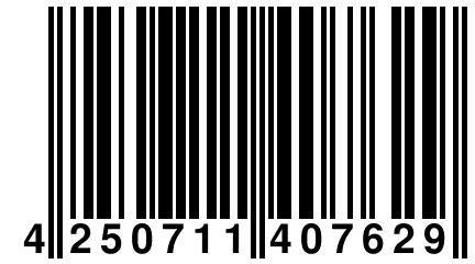 4 250711 407629