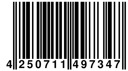 4 250711 497347