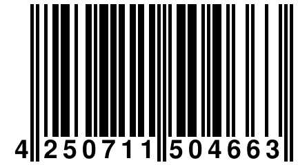 4 250711 504663