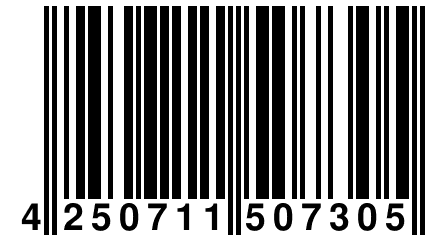 4 250711 507305