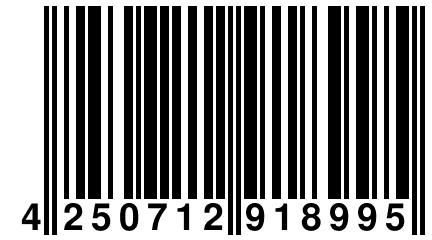 4 250712 918995