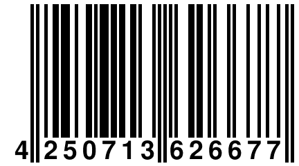 4 250713 626677