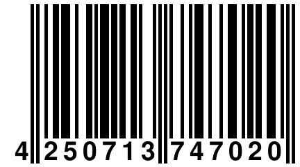 4 250713 747020