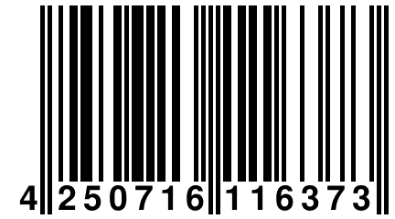 4 250716 116373