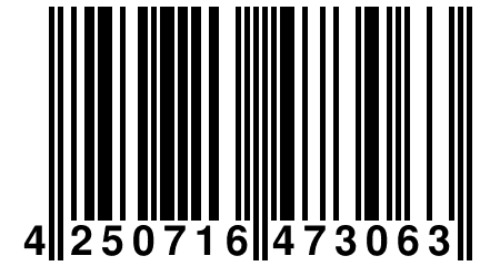 4 250716 473063