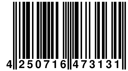 4 250716 473131