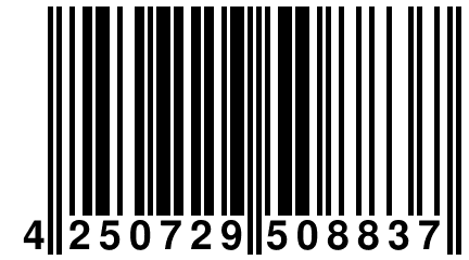 4 250729 508837