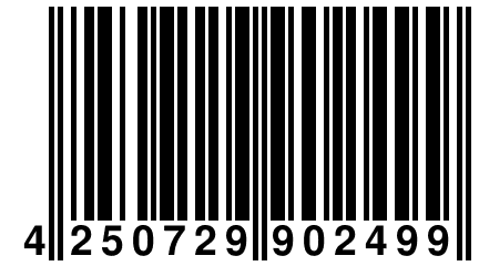 4 250729 902499