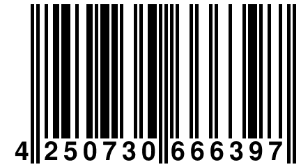 4 250730 666397