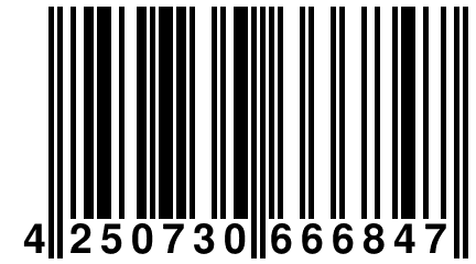 4 250730 666847