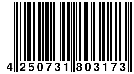 4 250731 803173