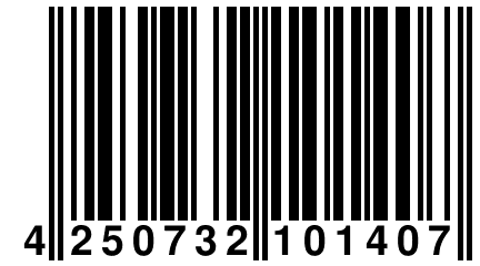 4 250732 101407