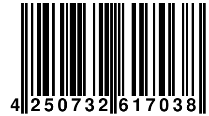 4 250732 617038