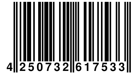 4 250732 617533