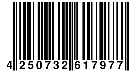 4 250732 617977