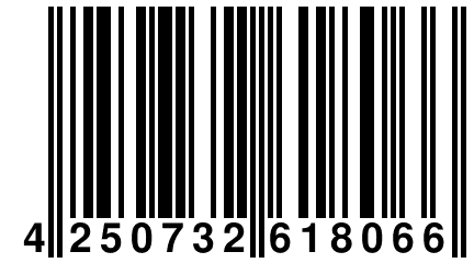 4 250732 618066