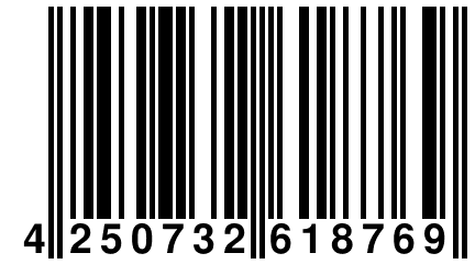4 250732 618769