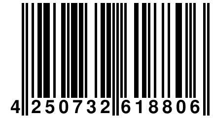 4 250732 618806