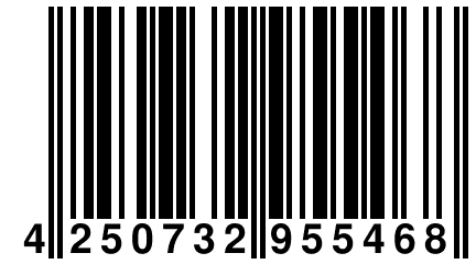 4 250732 955468
